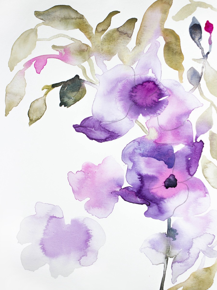 Elizabeth Becker, Orchid No. 19 Elizabeth Becker, Orchid No. 19