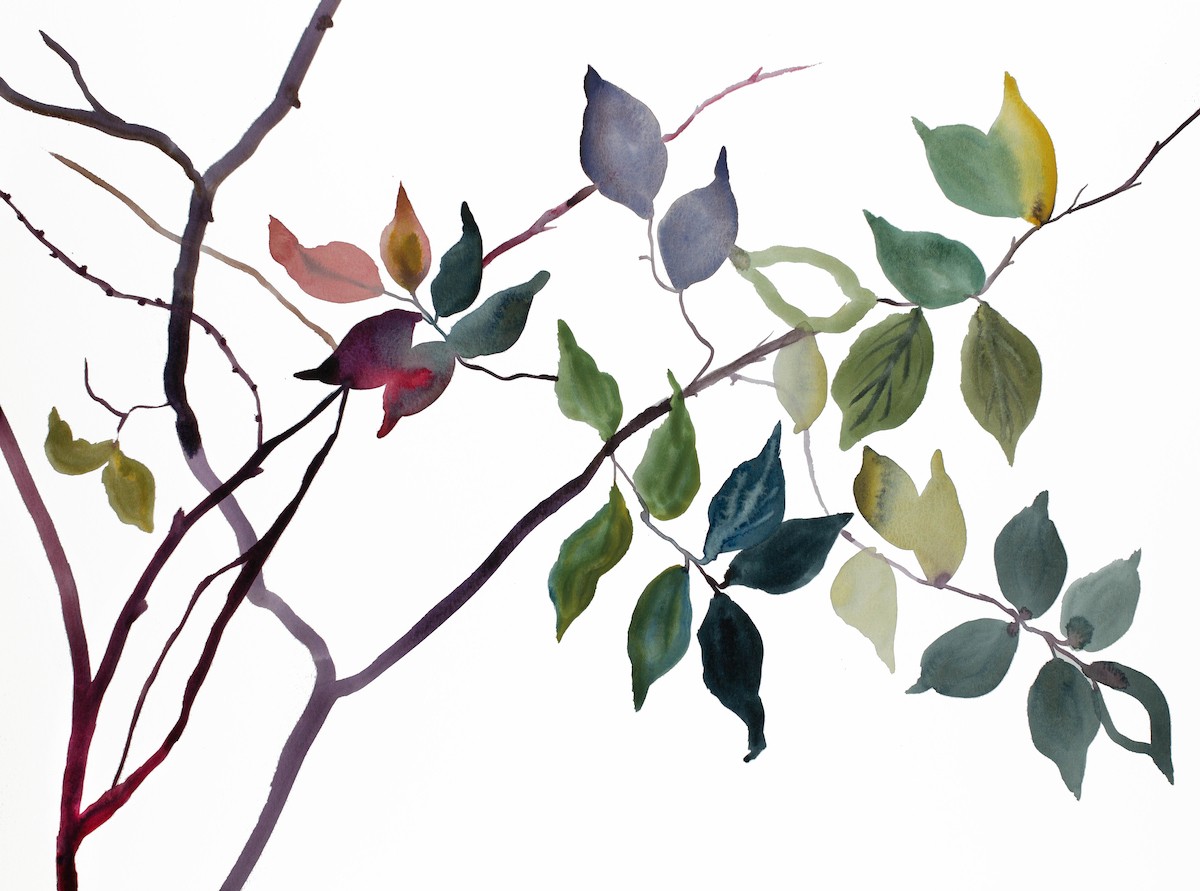 Elizabeth Becker, Branch study no. 25. Elizabeth Becker, Branch study no. 25.
