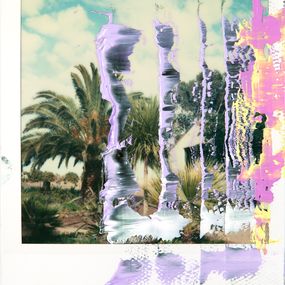 Fotografía, Palm Tree, Astor Salcedo