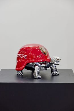 Porsche turtle, Diederik Van Apple