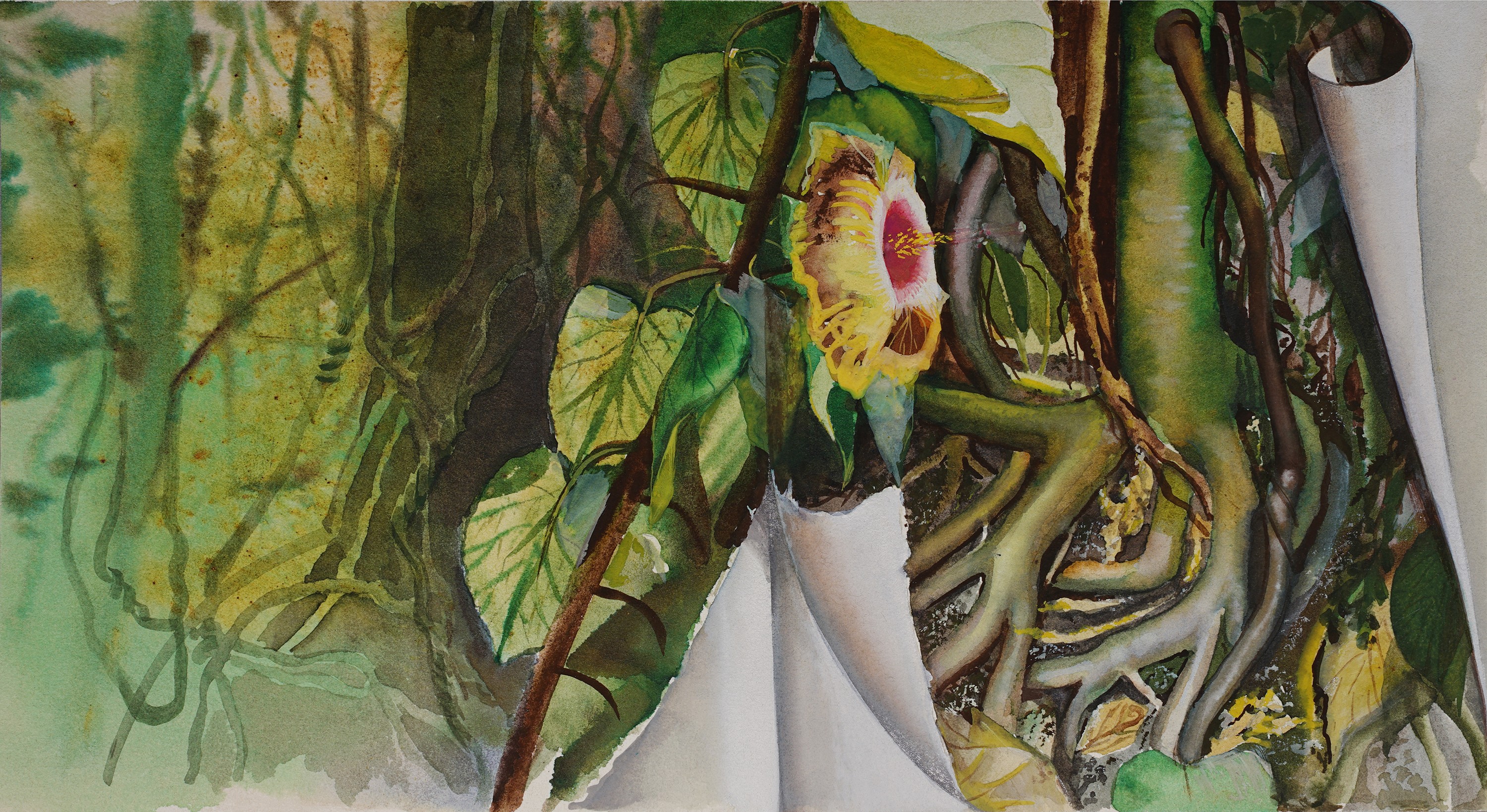 Tekla Aleksieva, The green wealth of the planet – cover Tekla Aleksieva, The green wealth of the planet – cover