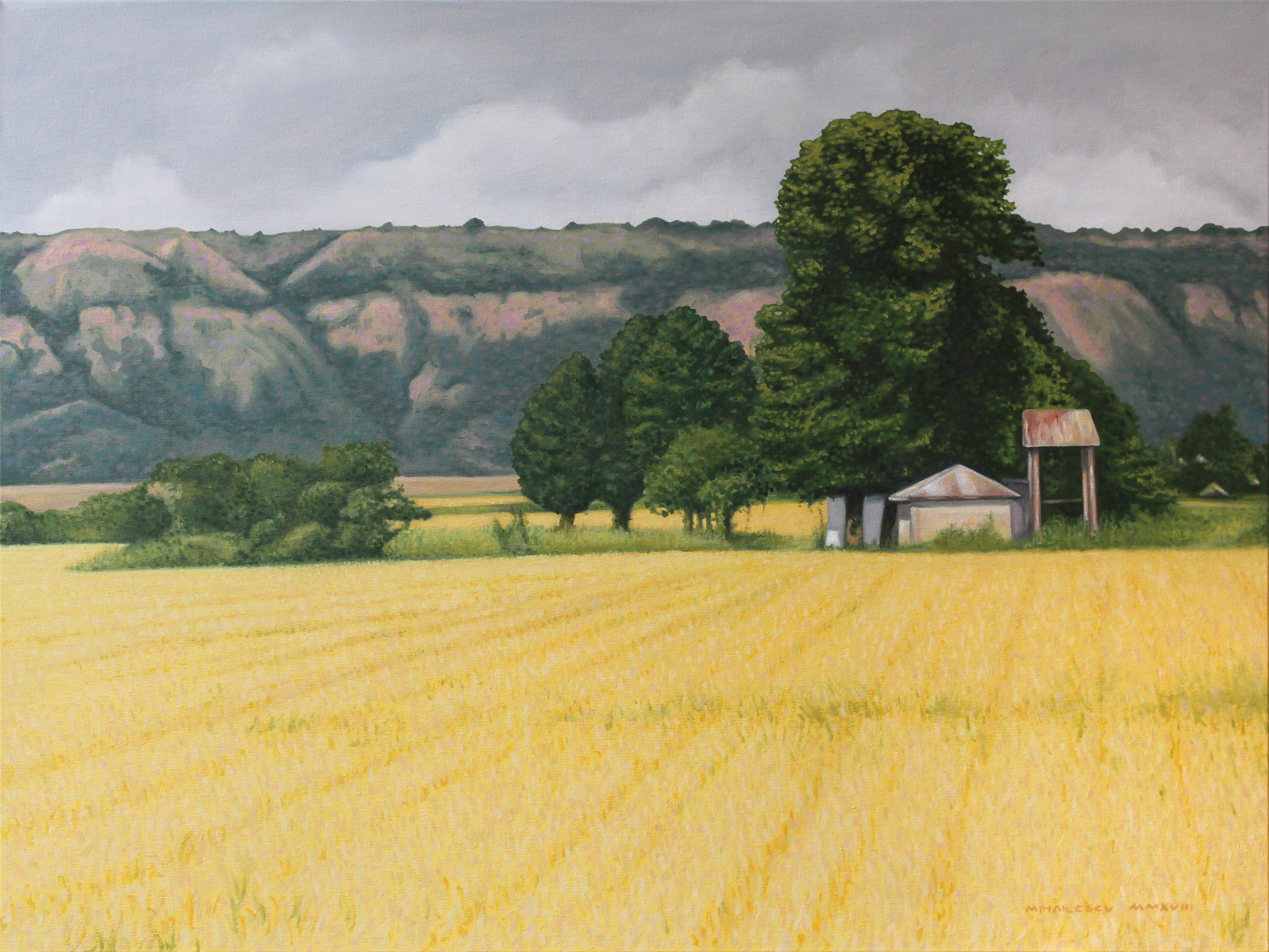 Ciprian Mihailescu, Summer day Ciprian Mihailescu, Summer day
