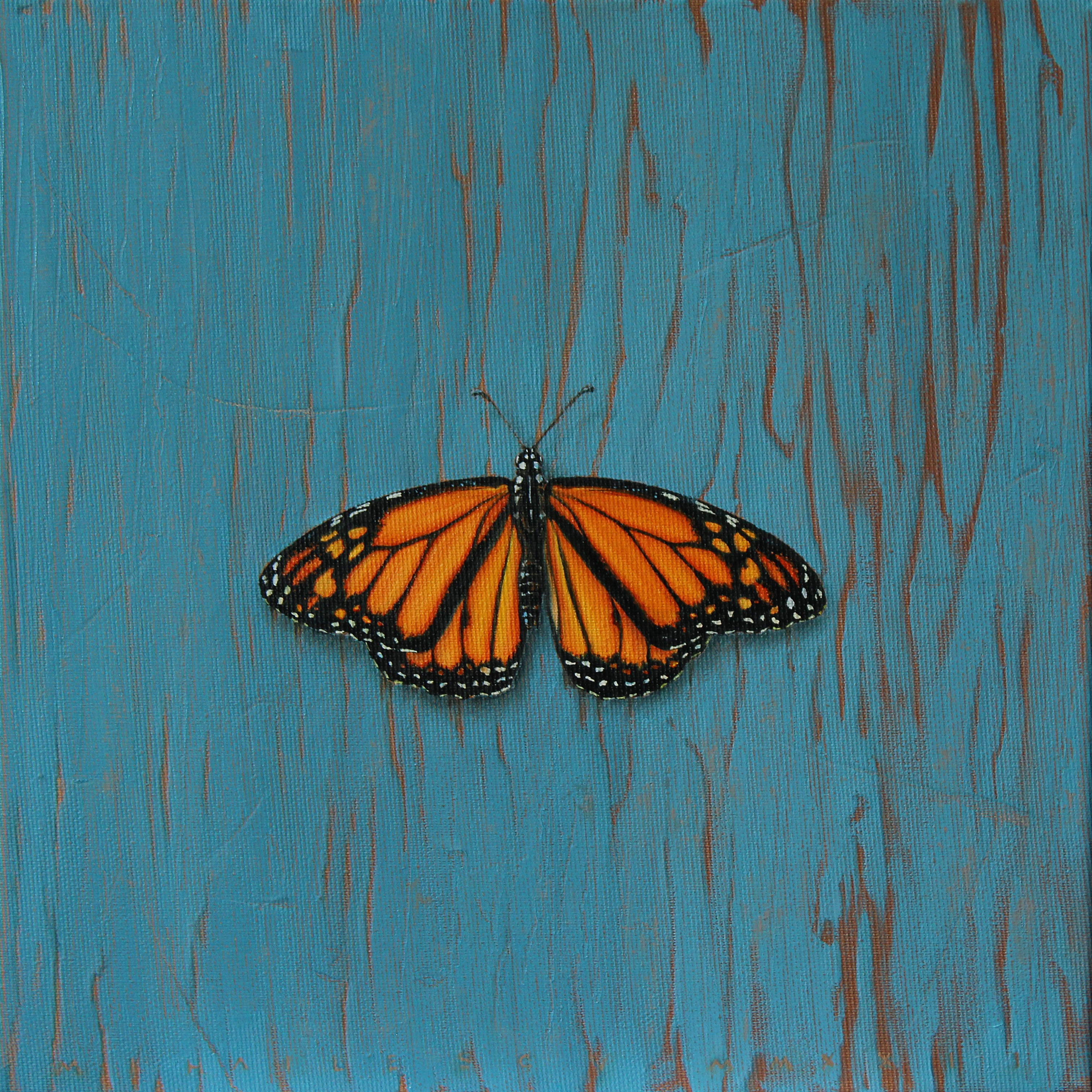 Ciprian Mihailescu, Fragile IV Ciprian Mihailescu, Fragile IV