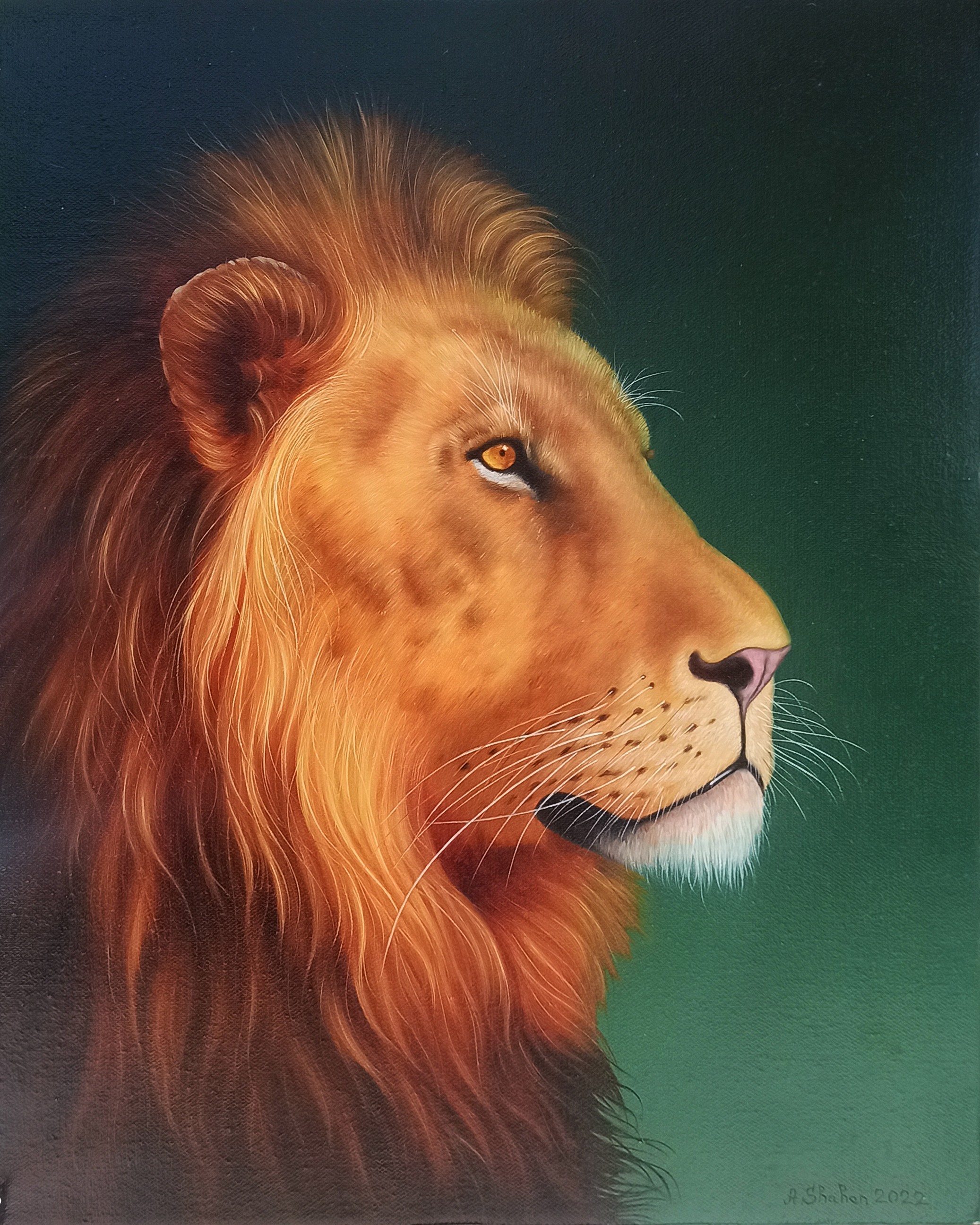 Shahen Aleksandryan, Lion portrait Shahen Aleksandryan, Lion portrait