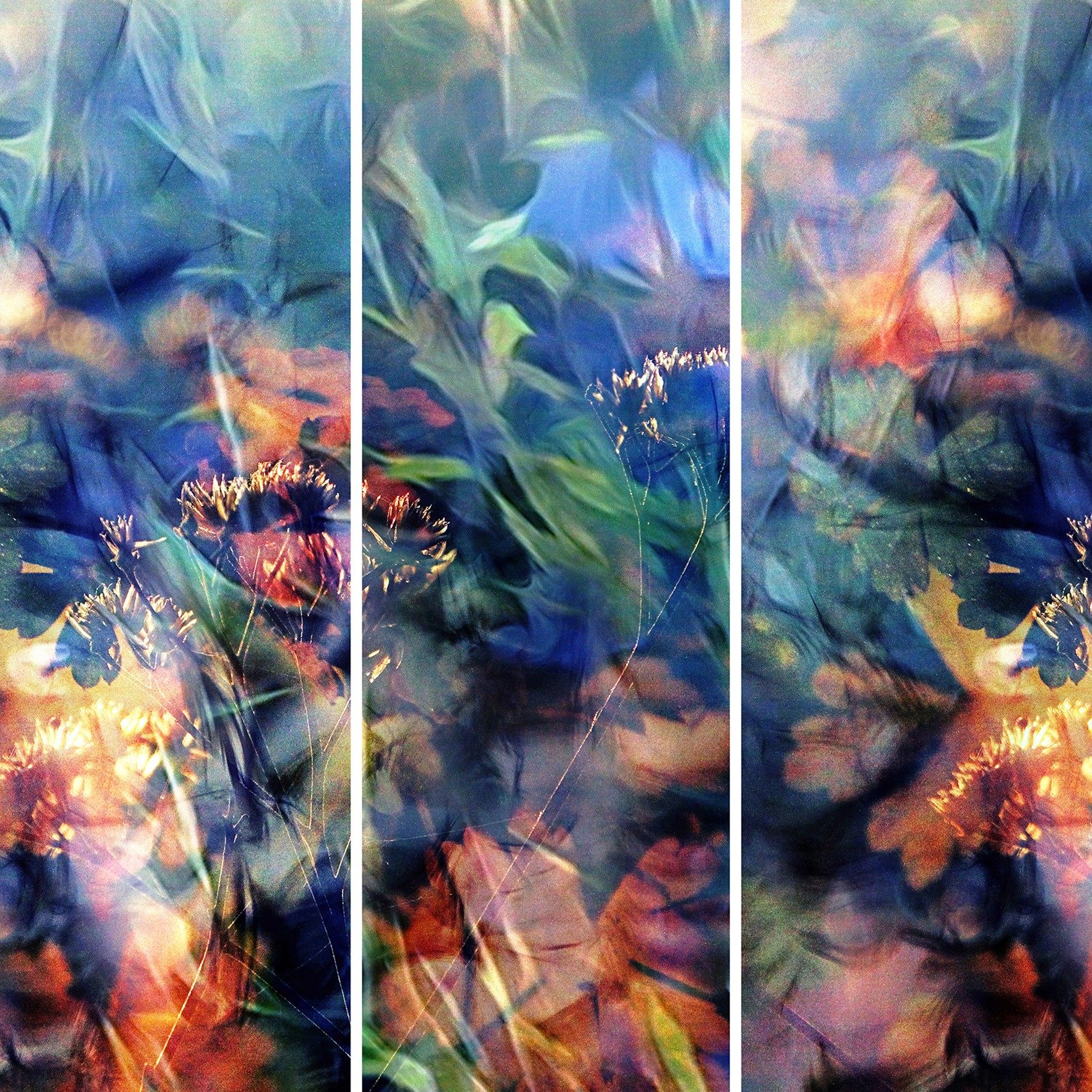 Arelys Photos, Reflet Aqua 1 Arelys Photos, Reflet Aqua 1