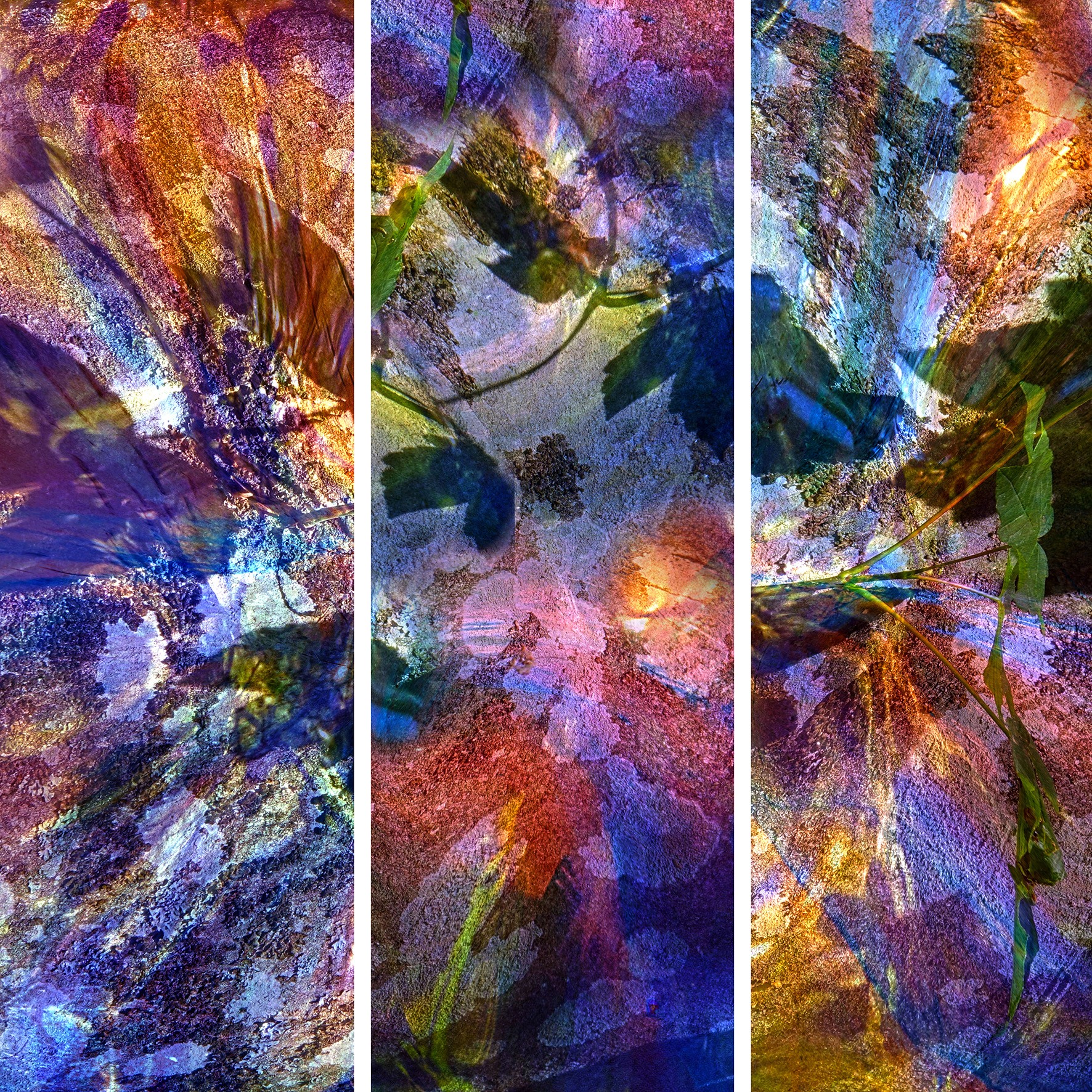 Arelys Photos, Reflet Vitrail Arelys Photos, Reflet Vitrail