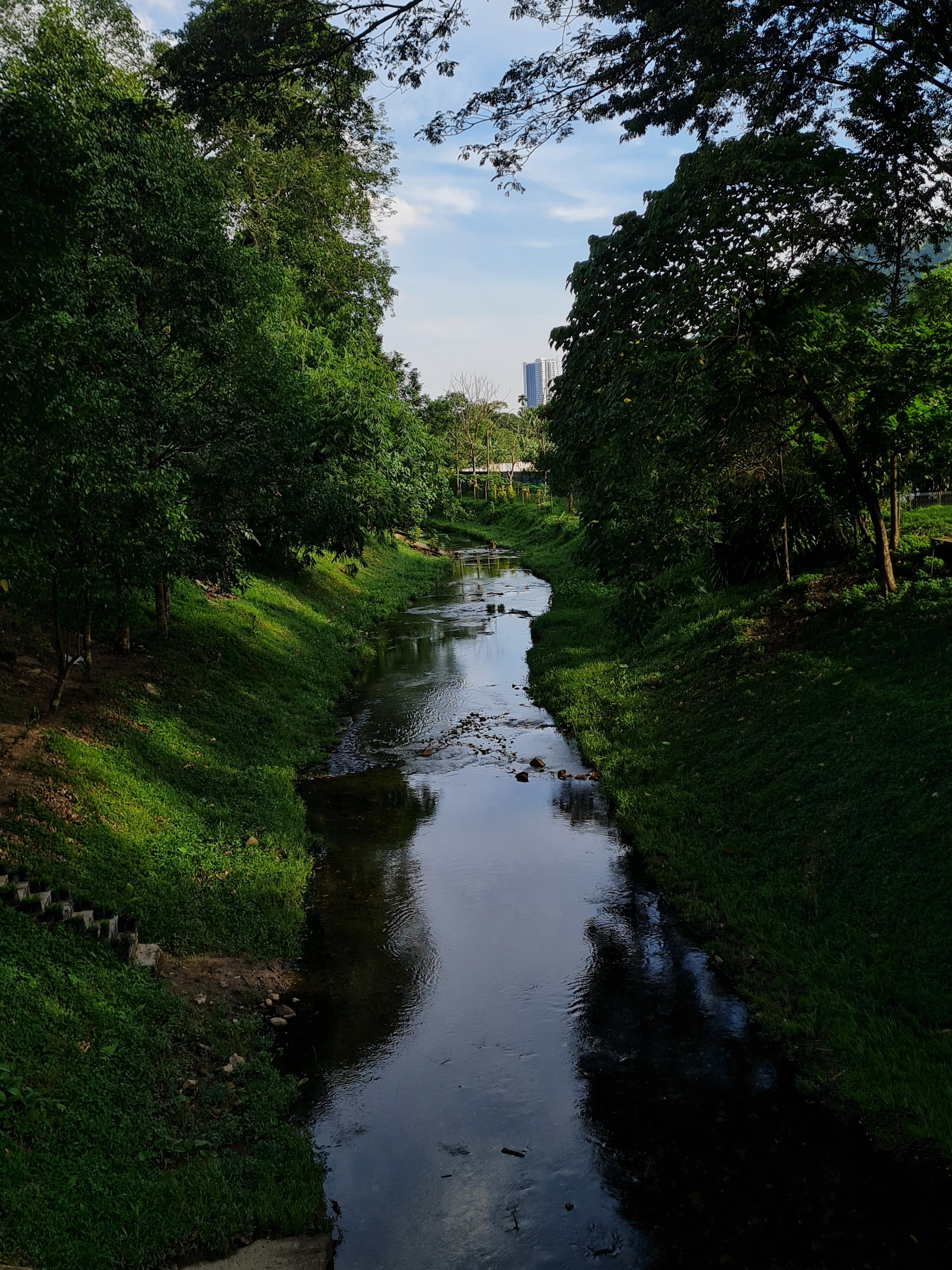 Jess Hon, A Scenic View of a Quiet Stream at the Foot of Melawati Hills Jess Hon, A Scenic View of a Quiet Stream at the Foot of Melawati Hills