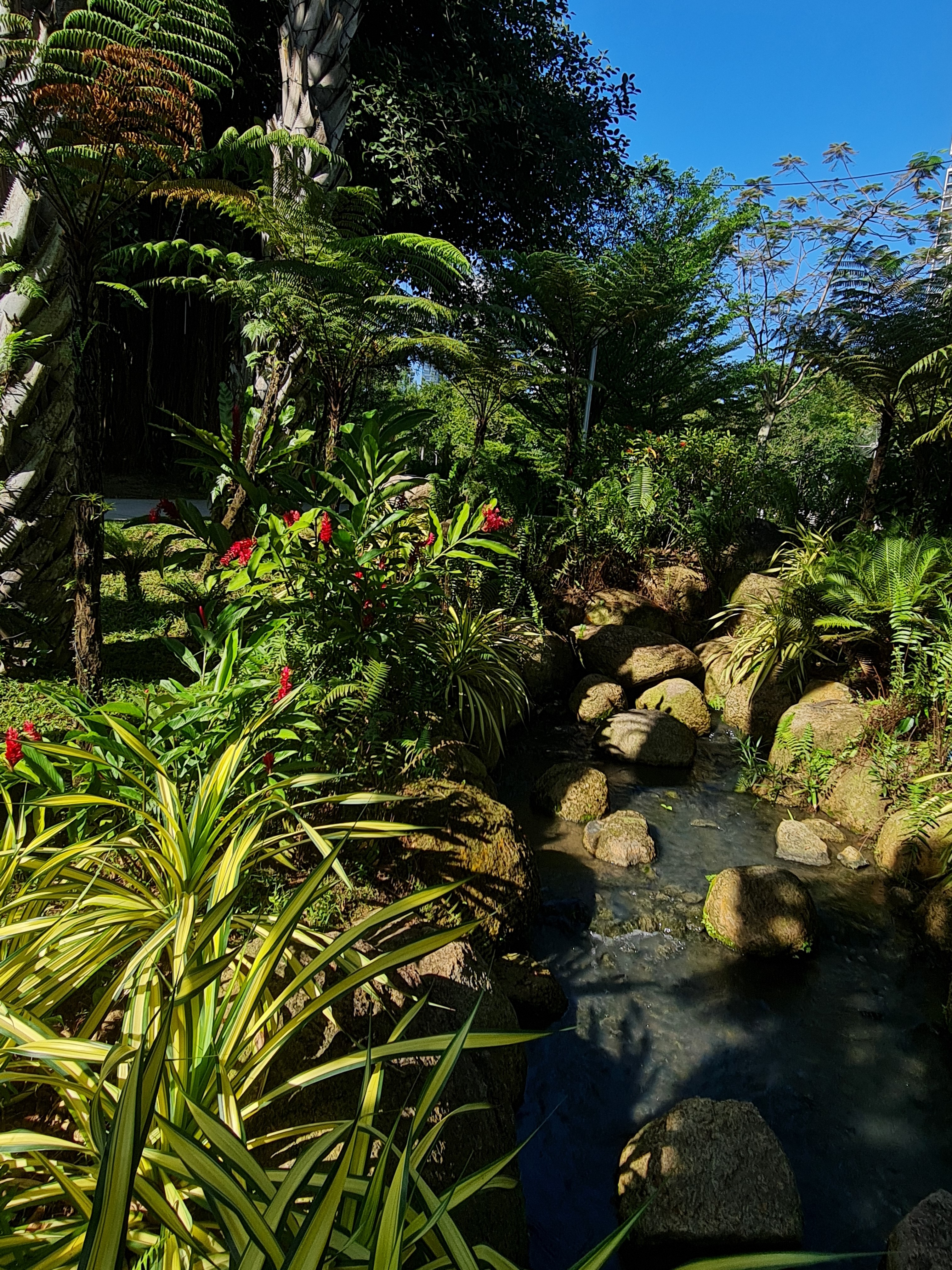 Jess Hon, The enchanting view of the garden in Desa ParkCity Jess Hon, The enchanting view of the garden in Desa ParkCity