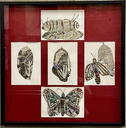 Zeichnungen, The butterfly. Road of pain and hope, Hélène Litorelle