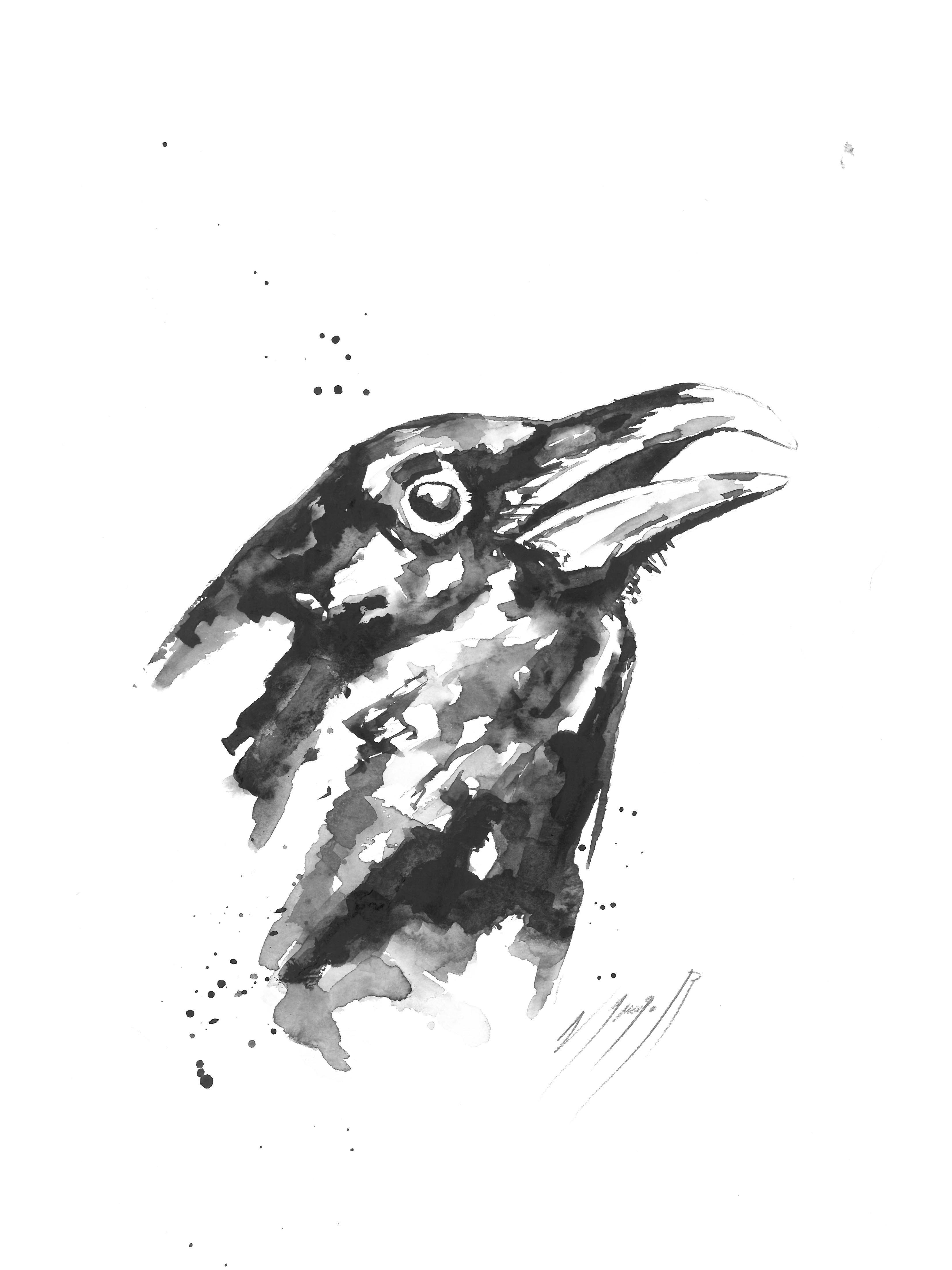 Noël Granger, Le Corbeau noir ! Noël Granger, Le Corbeau noir !