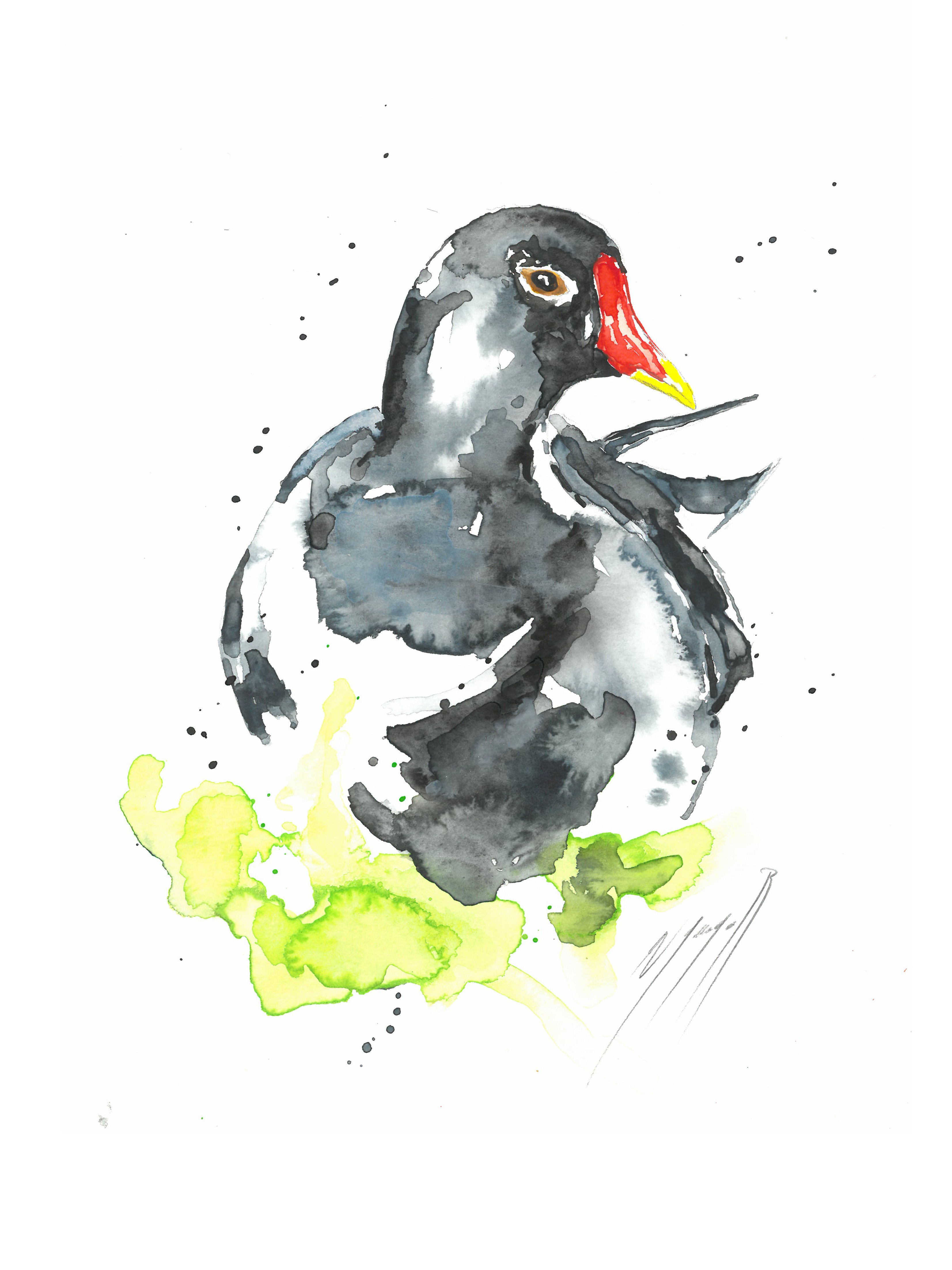 Noël Granger, La poule d'eau ! Noël Granger, La poule d'eau !