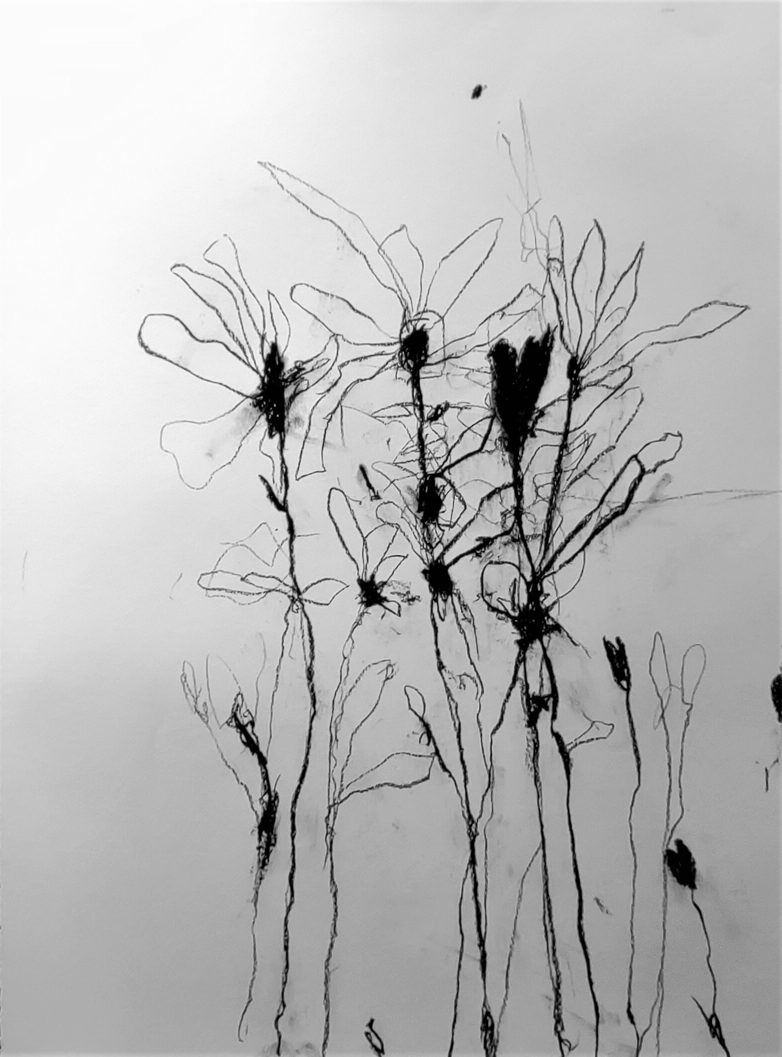 Robert Baribeau, In the weeds ink bloom #1 Robert Baribeau, In the weeds ink bloom #1