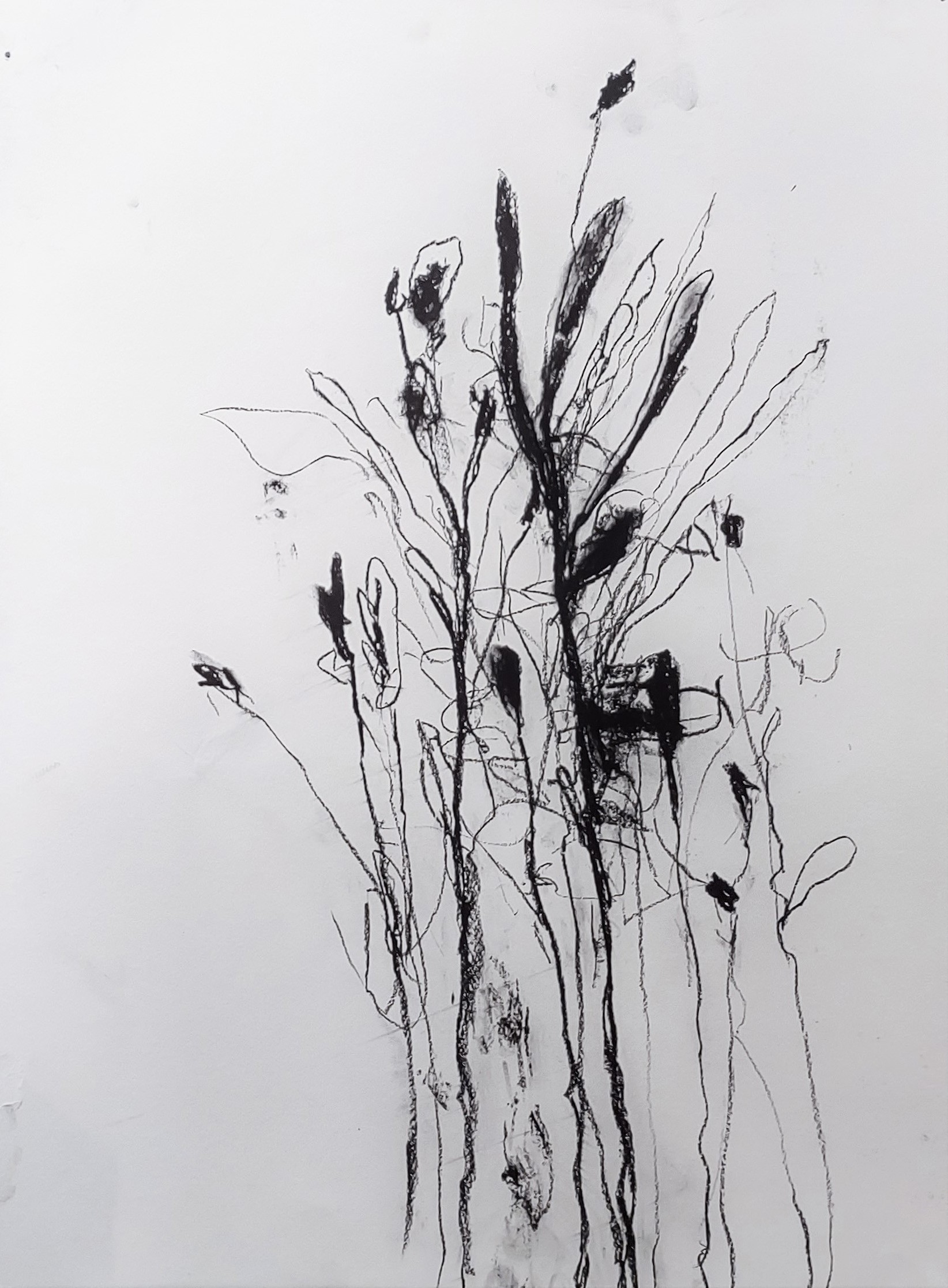 Robert Baribeau, In the weeds ink bloom #3 Robert Baribeau, In the weeds ink bloom #3