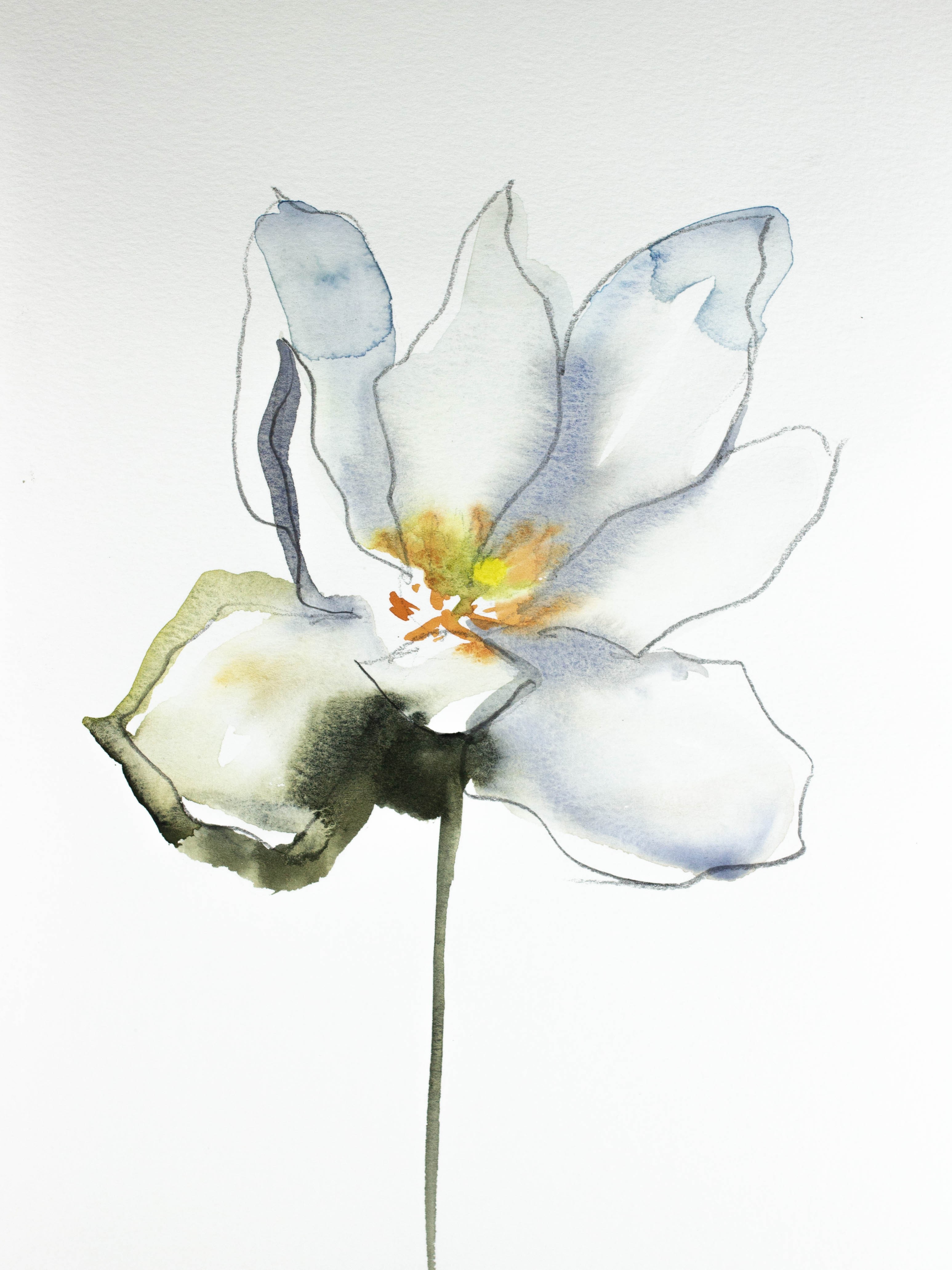 Elizabeth Becker, Bloodroot No. 4 Elizabeth Becker, Bloodroot No. 4