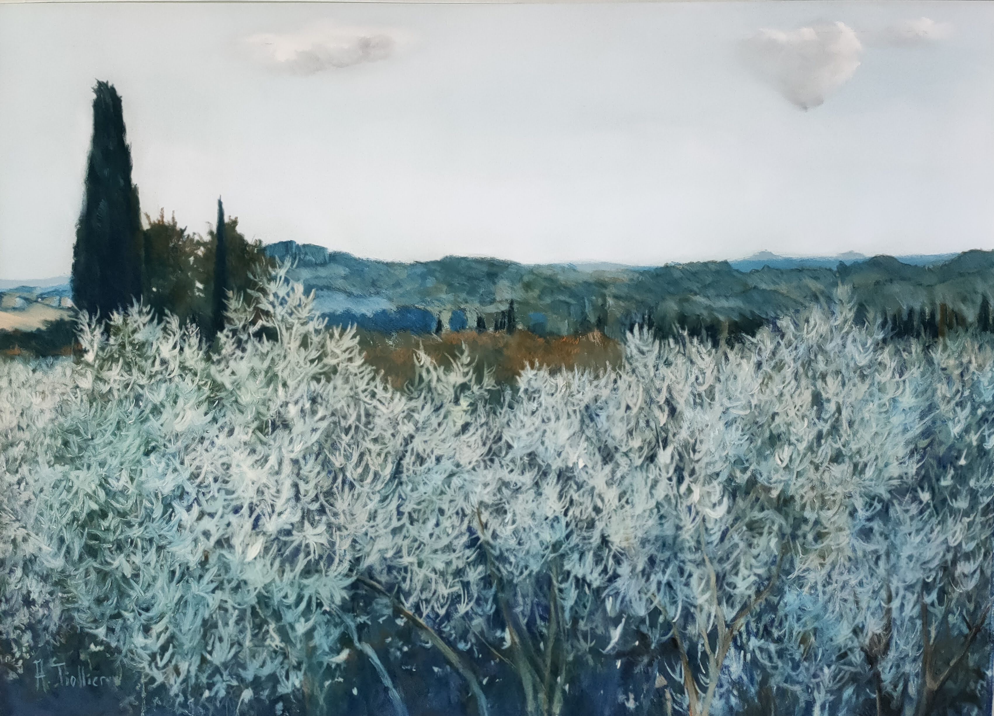 Agnès Tiollier, Alpilles Agnès Tiollier, Alpilles