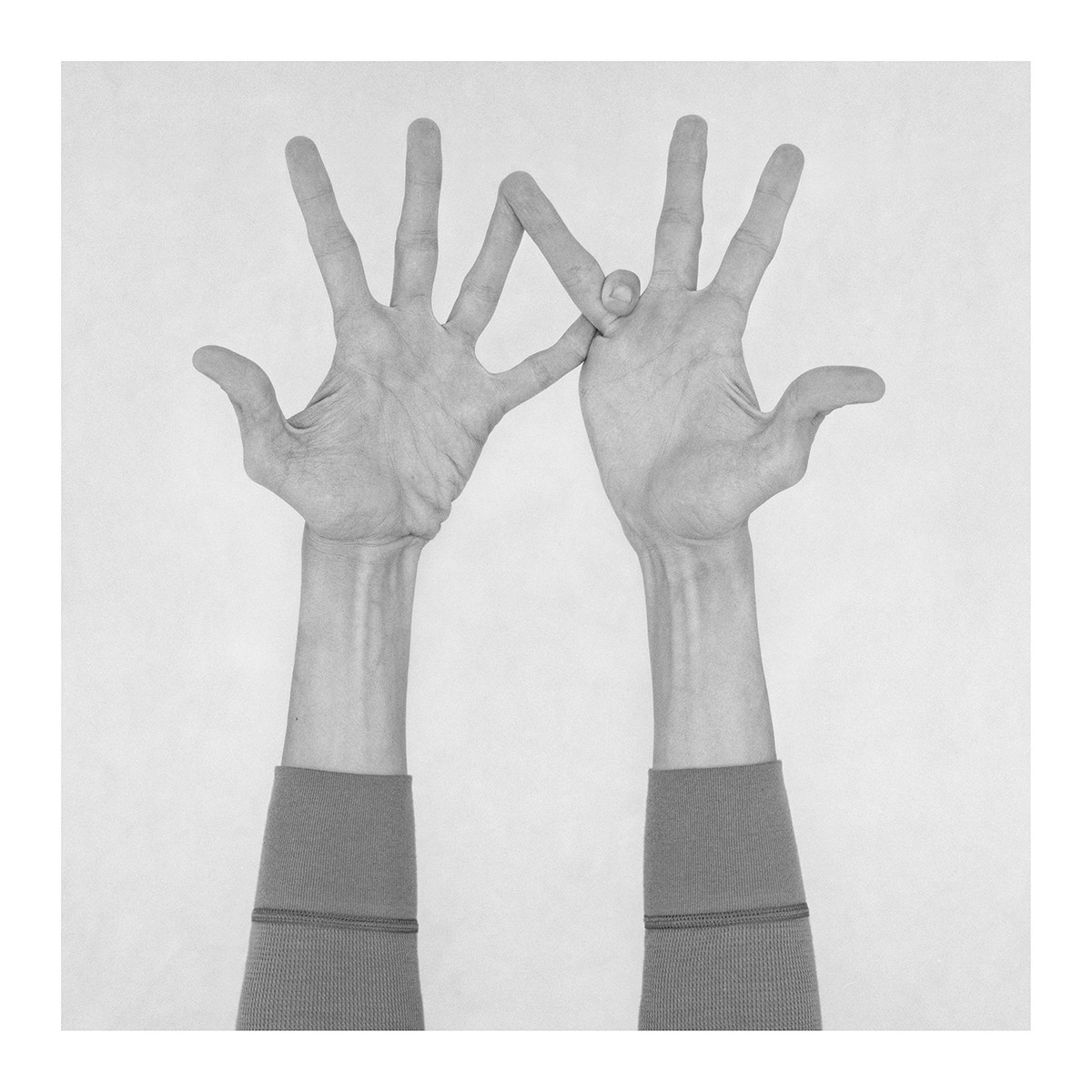 Nico Baixas / Gos-com-fuig, Untitled I. From the Series Chiromorphose Nico Baixas / Gos-com-fuig, Untitled I. From the Series Chiromorphose