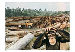 Déforestation- Ma table de jardin, Jean-Marie Gitard (Mr Strange)
