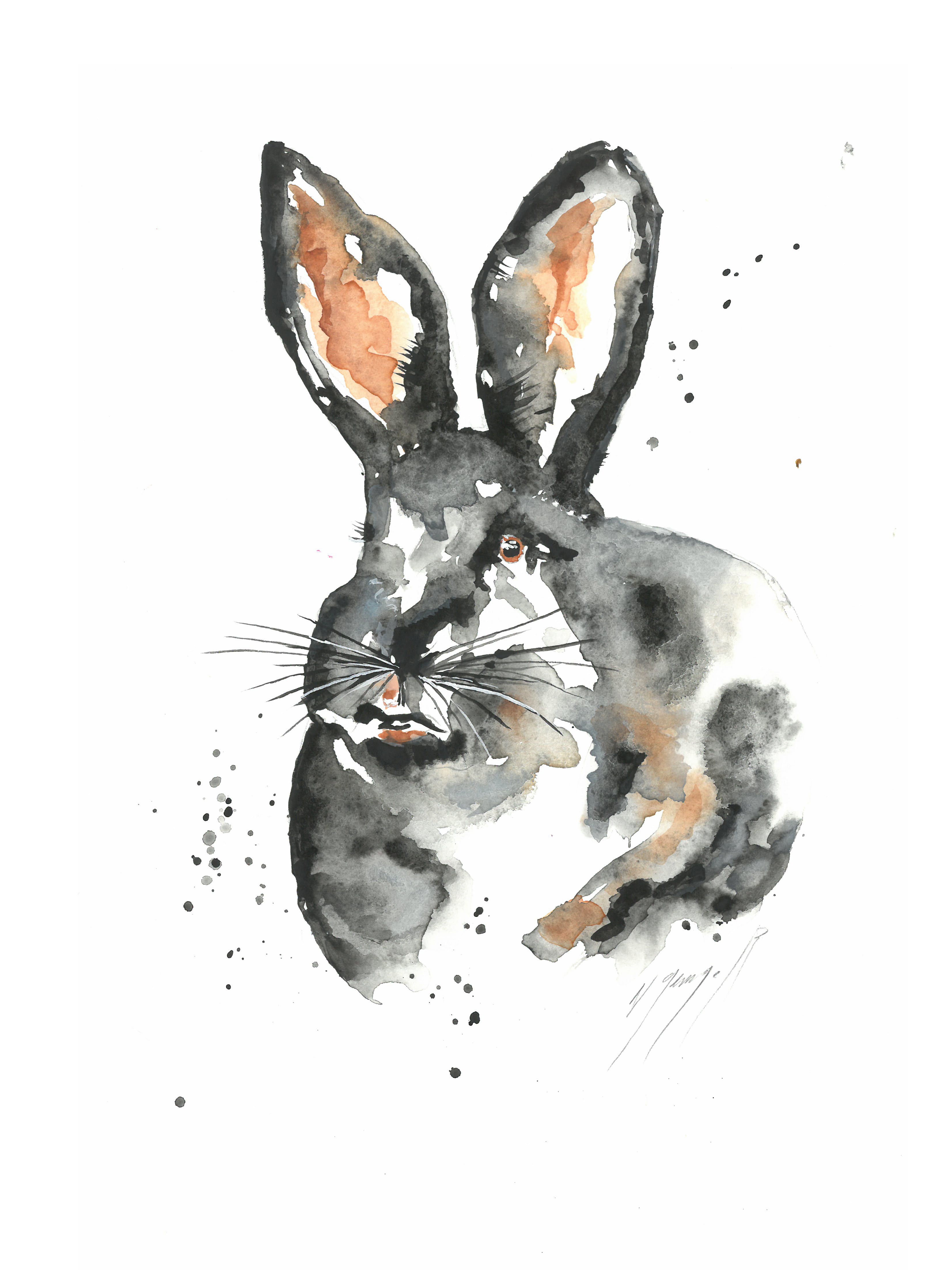 Noël Granger, My lucky bunny ! Noël Granger, My lucky bunny !