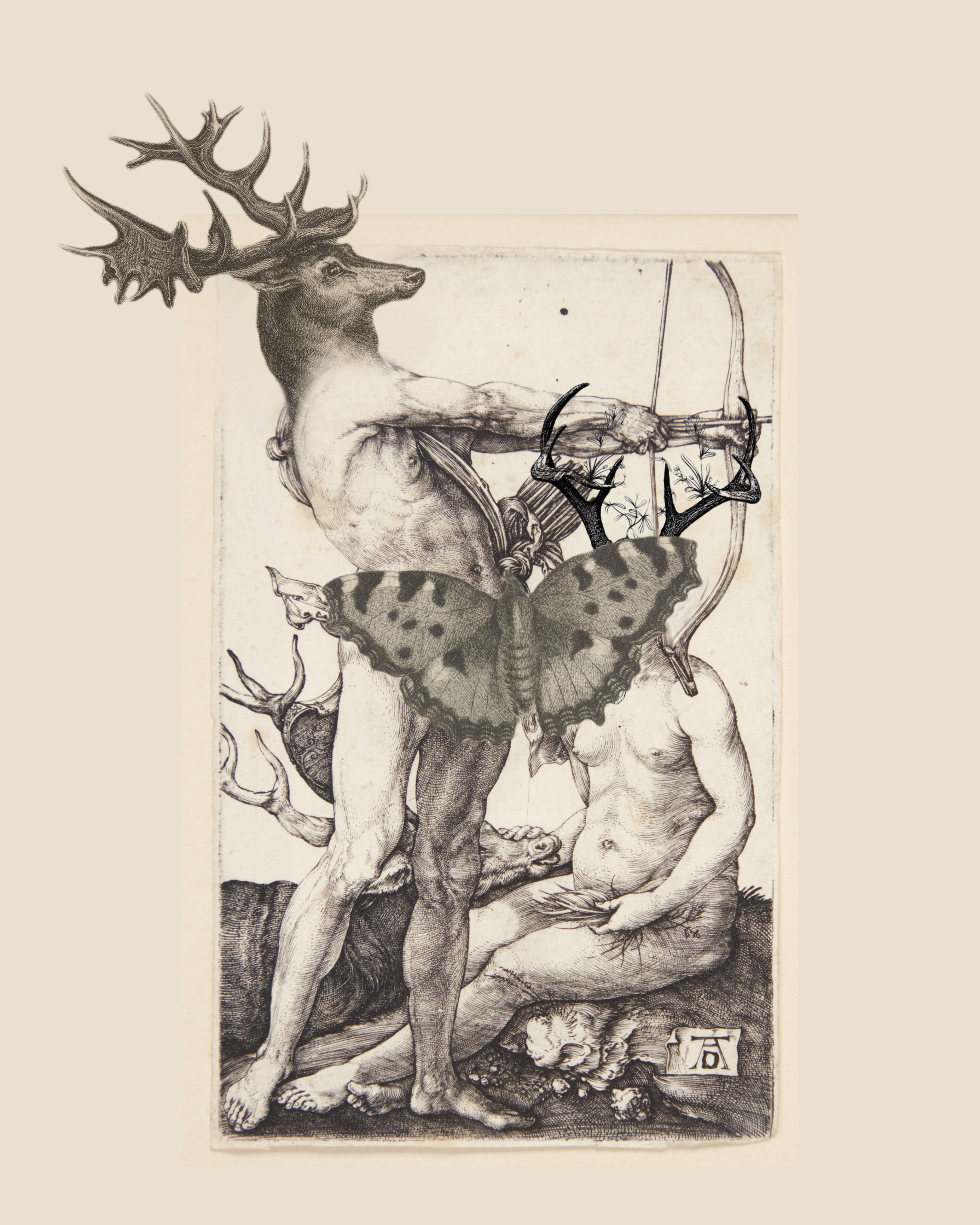 Adrianna MJW, L archer et le papillon Adrianna MJW, L archer et le papillon