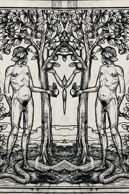 Adam et Adam, Adrianna MJW