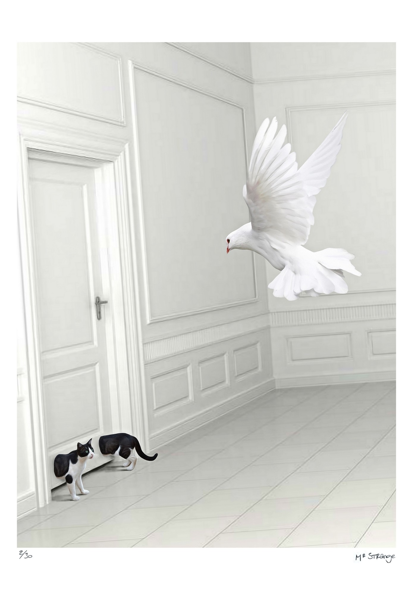 Jean-Marie Gitard (Mr Strange), La Colombe et le chat Jean-Marie Gitard (Mr Strange), La Colombe et le chat