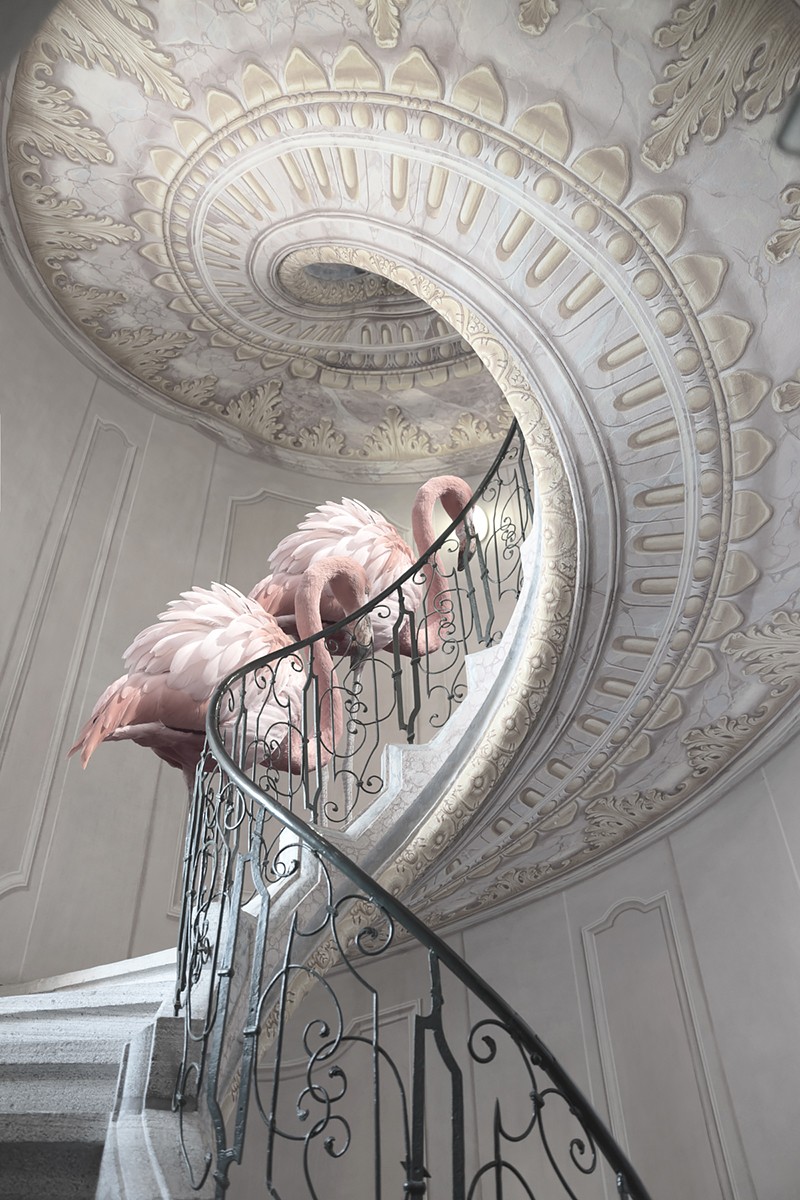 Cheraine Collette, Golden Ratio Cheraine Collette, Golden Ratio