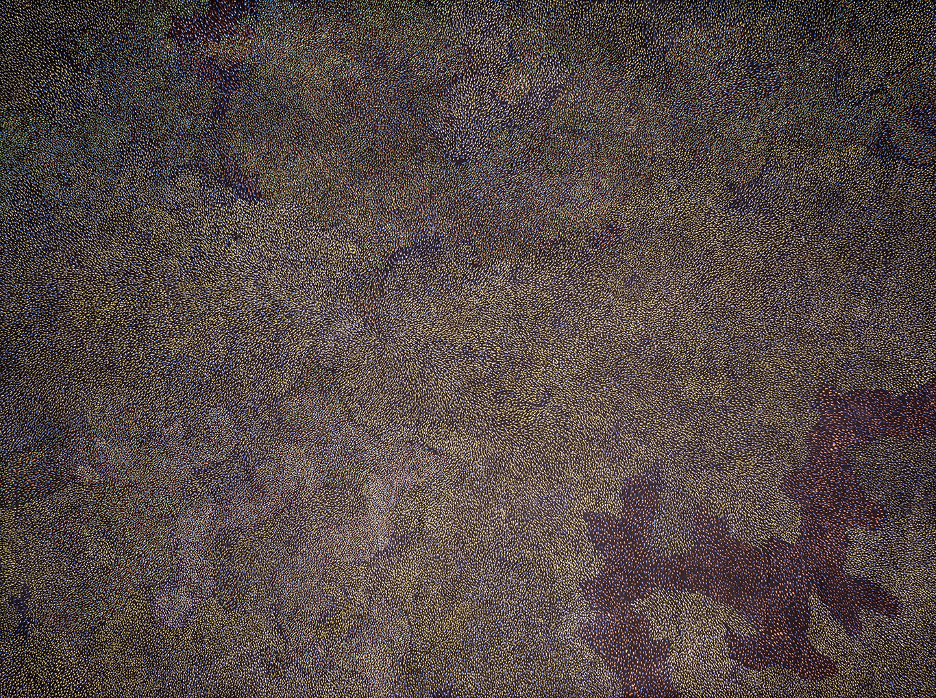 Elizabeth Kunoth Kngwarreye, Yam Seed - EDA-EK2034/21 Elizabeth Kunoth Kngwarreye, Yam Seed - EDA-EK2034/21
