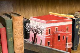 Books and building, David Carey