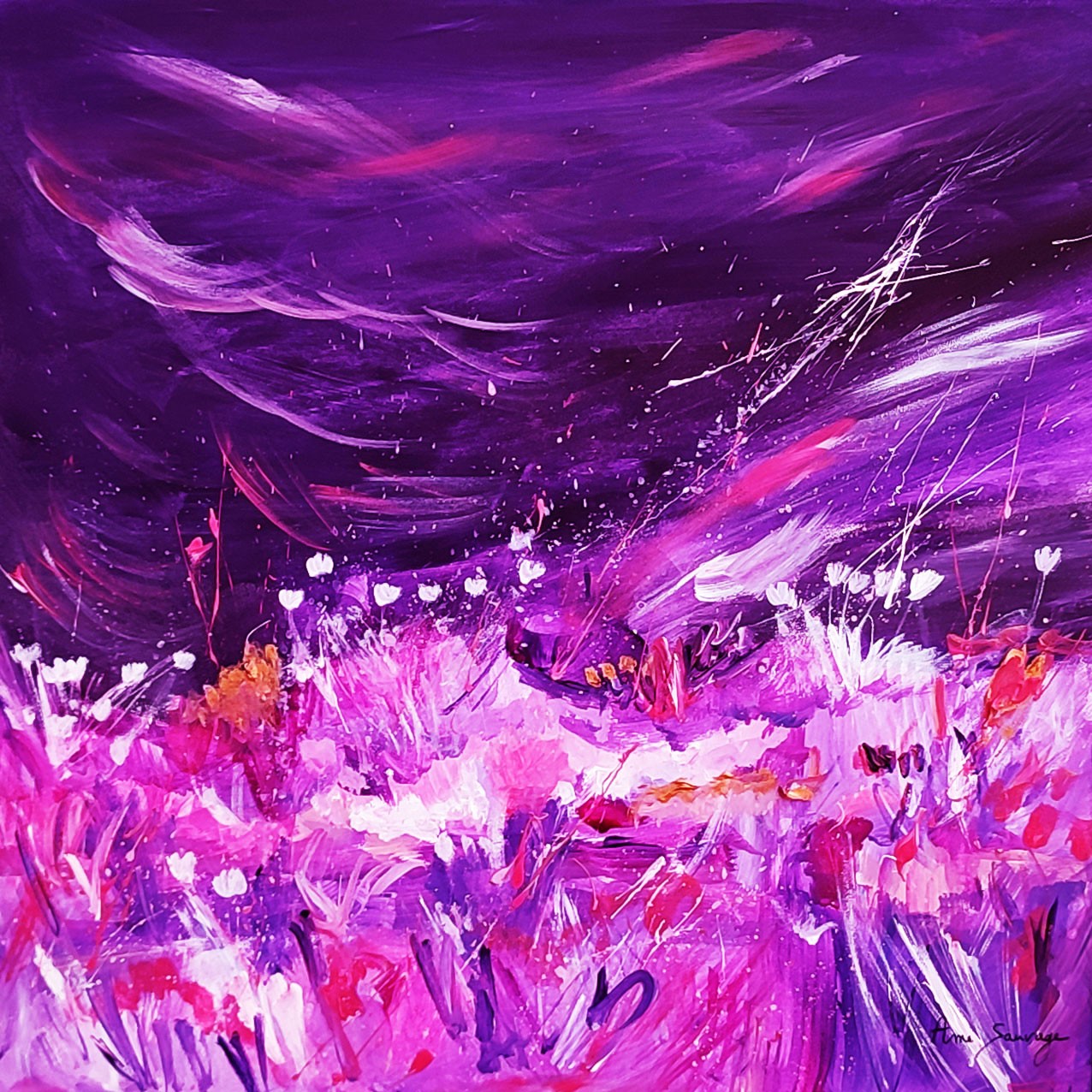 Âme Sauvage, Purple night Âme Sauvage, Purple night