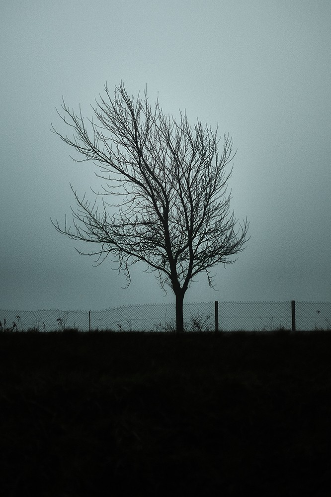 Romain Reveau, Solitude Romain Reveau, Solitude
