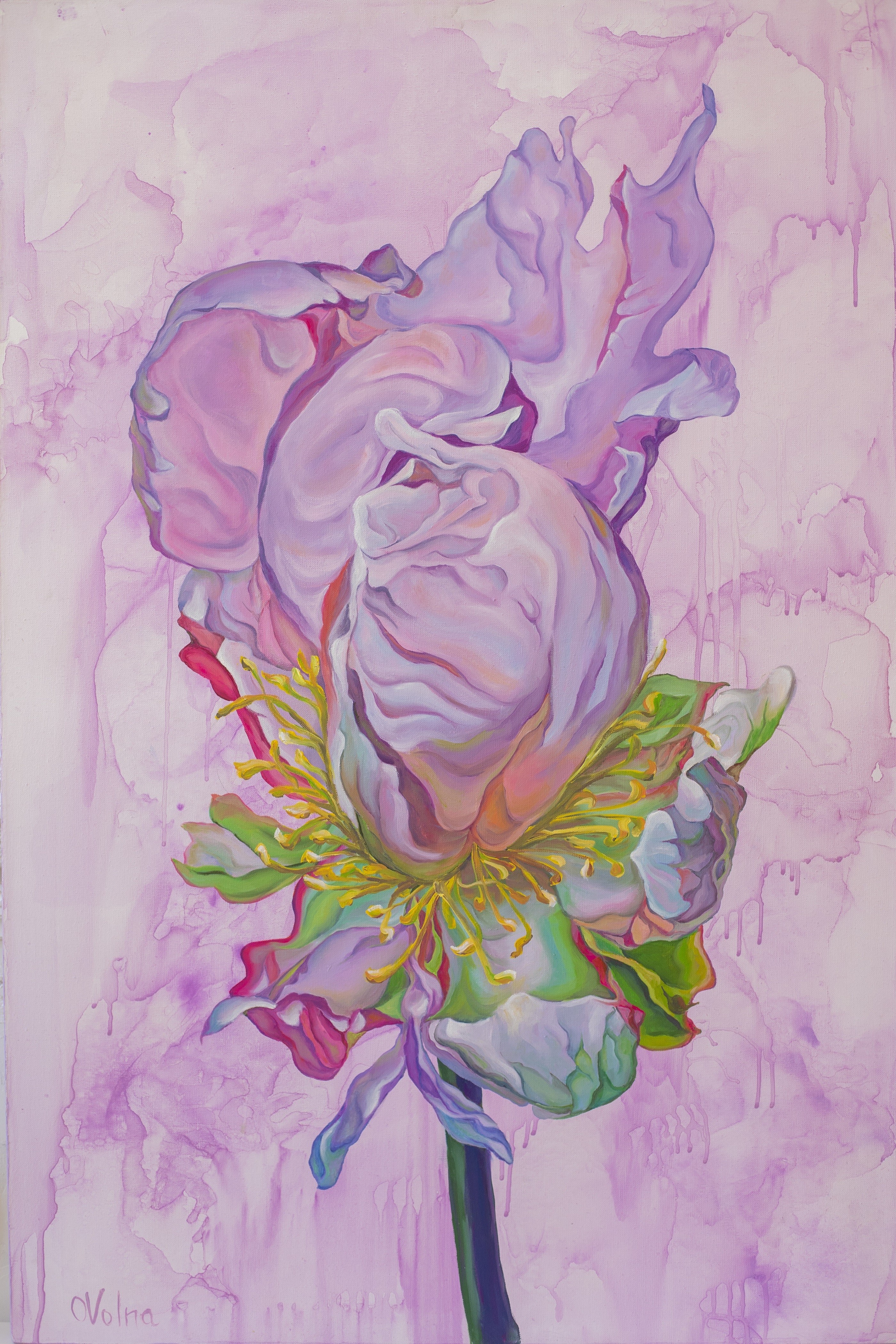 Olga Volna, Passion Flowers Olga Volna, Passion Flowers