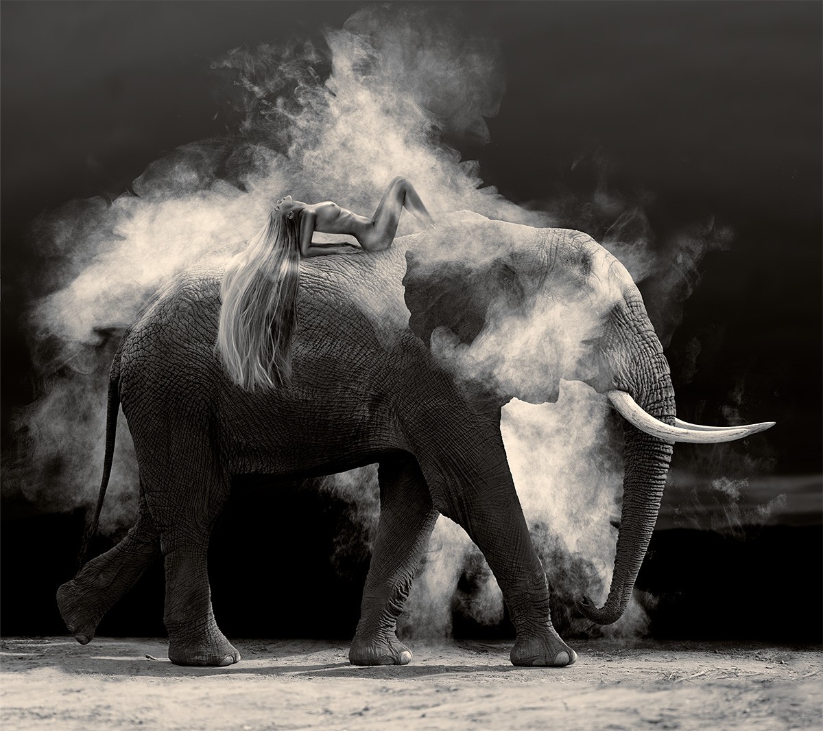 Cheraine Collette, Nude elephant dust Cheraine Collette, Nude elephant dust