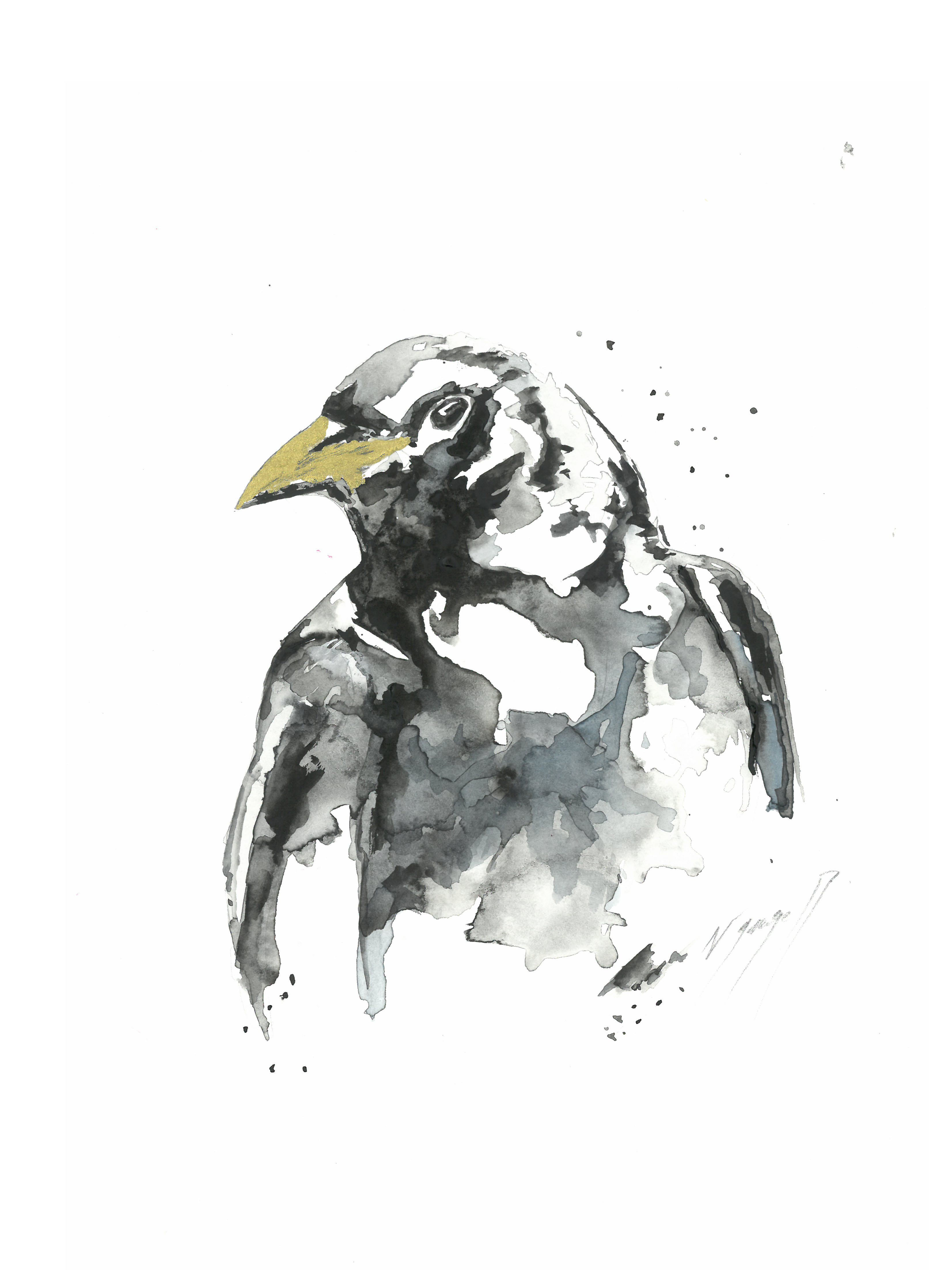 Noël Granger, Le corbeau au bec d'or ! Noël Granger, Le corbeau au bec d'or !