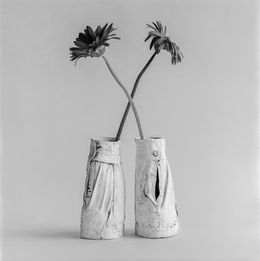 Fotografien, Still Life (Vases), Larry Snider