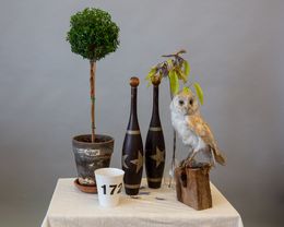 Fotografien, Still Life (Animals and Objects), Larry Snider