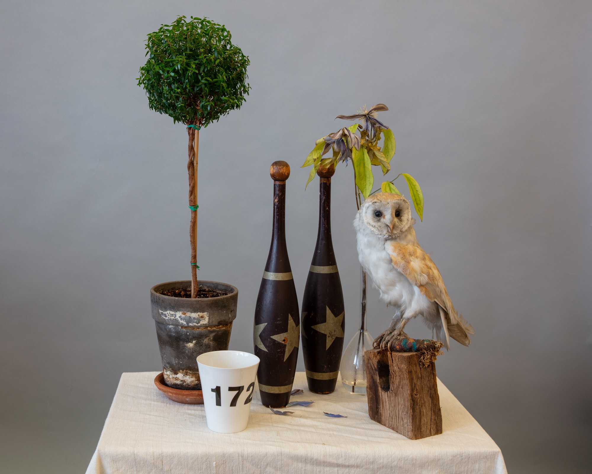 Larry Snider, Still Life (Animals and Objects) Larry Snider, Still Life (Animals and Objects)