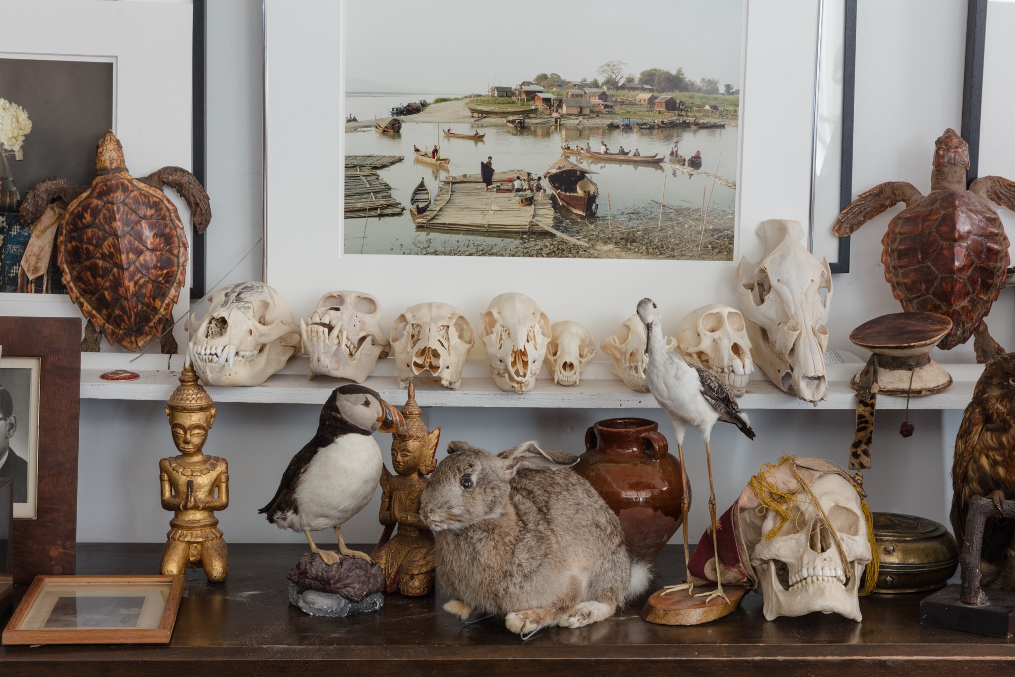 Larry Snider, Still Life (Animals and Objects) Larry Snider, Still Life (Animals and Objects)