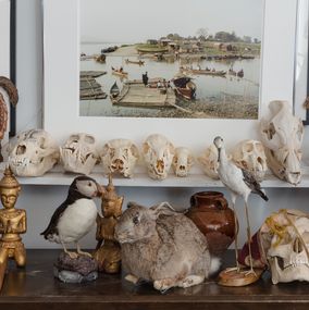 Photography, Still Life (Animals and Objects), Larry Snider