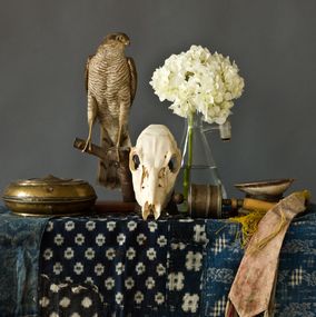 Fotografien, Still Life (Skull and Falcon), Larry Snider