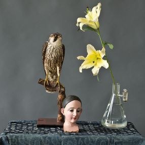 Fotografien, Still Life (Animals and Objects), Larry Snider