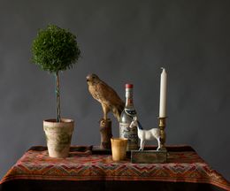 Fotografien, Still life (bird and objects), Larry Snider