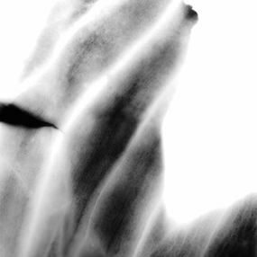 Lightbody II, Julia Pust
