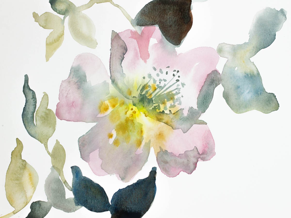 Elizabeth Becker, Wild Rose No. 8 Elizabeth Becker, Wild Rose No. 8