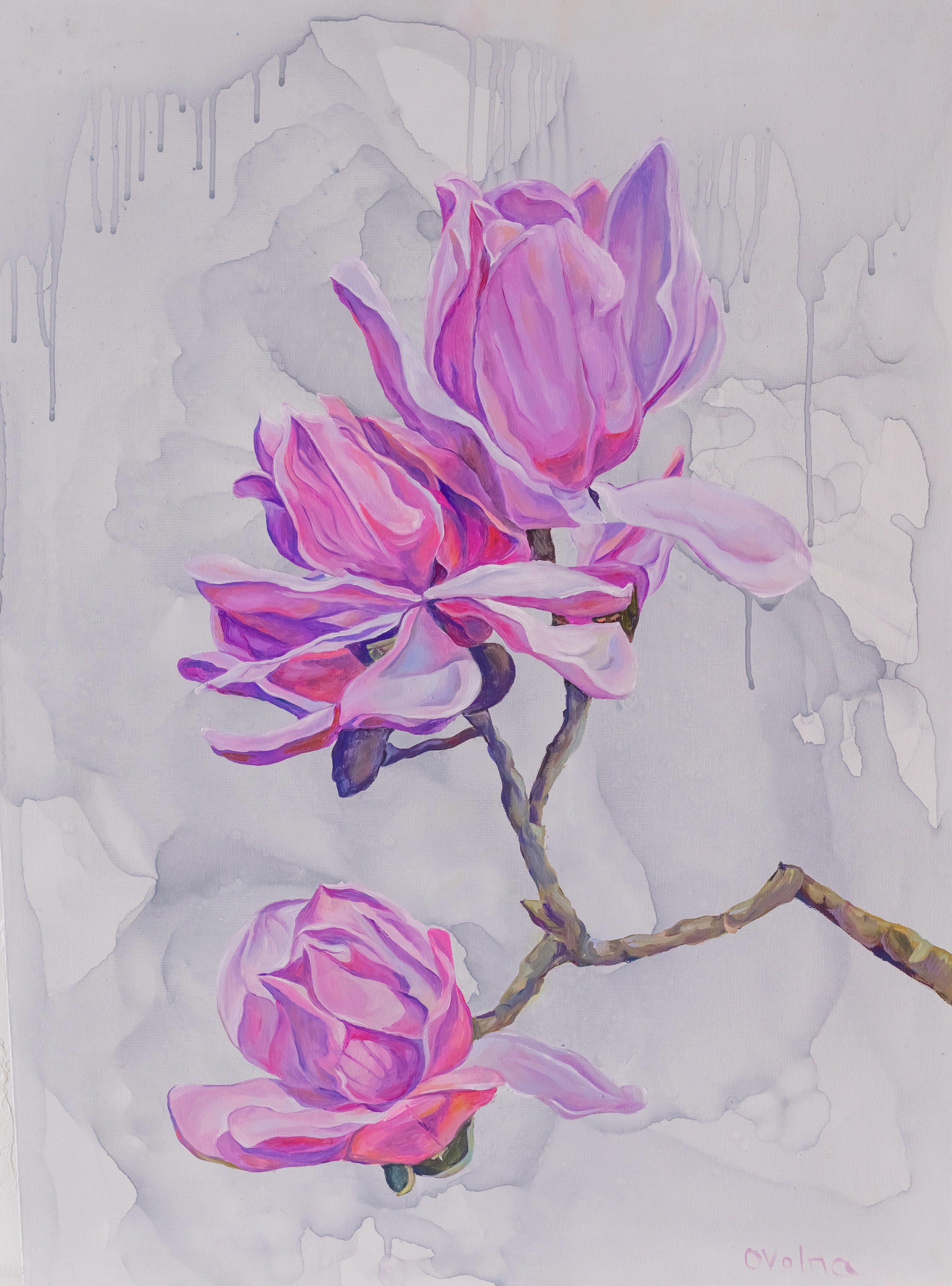 Olga Volna, Magnolias Olga Volna, Magnolias
