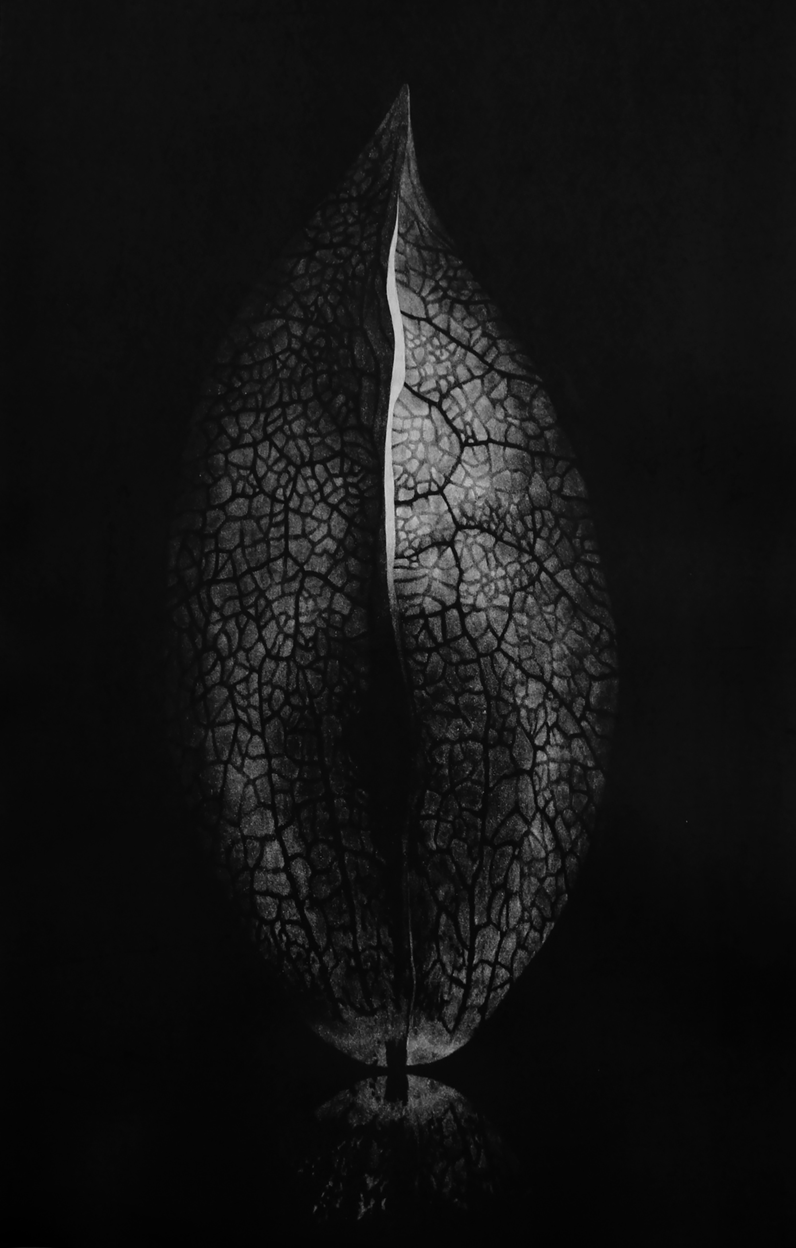 Vasil Angelov, Love Totem Vasil Angelov, Love Totem