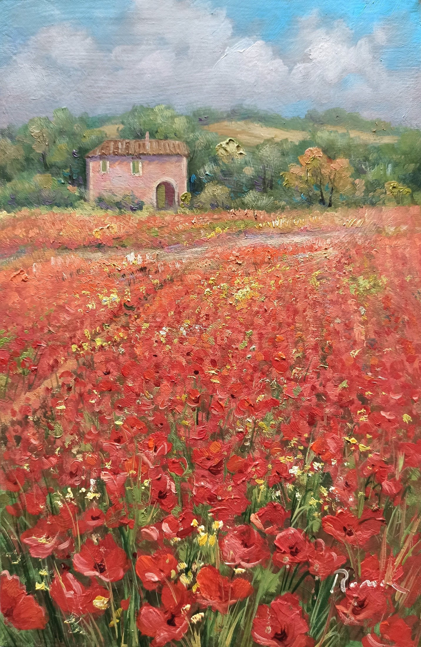 Domenico Ronca, Red poppies field - Tuscany painting landscape Domenico Ronca, Red poppies field - Tuscany painting landscape