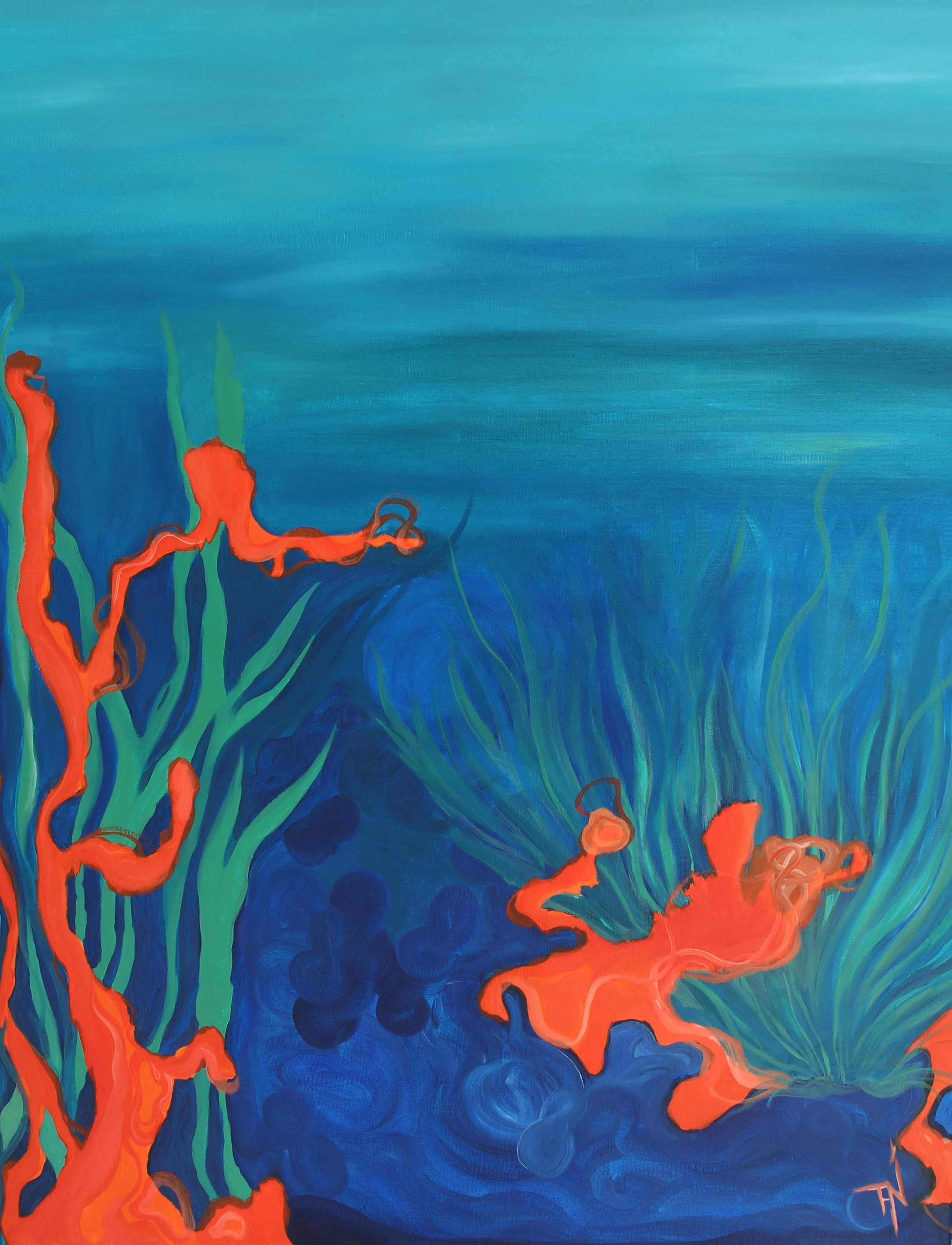 Tani Telas, Coral I Tani Telas, Coral I