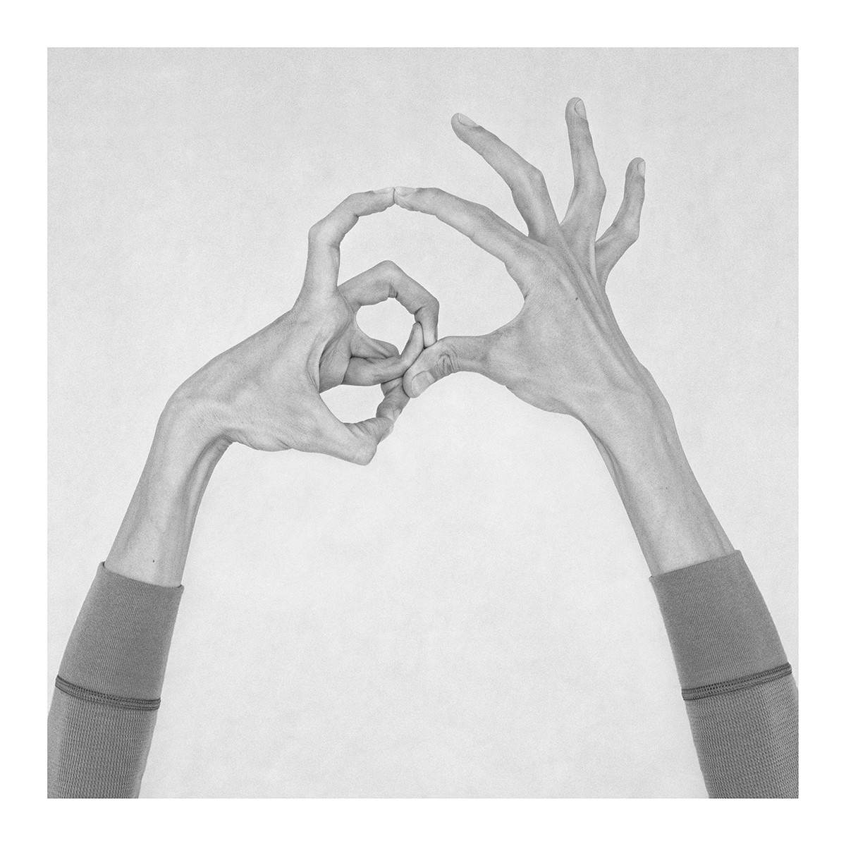 Nico Baixas / Gos-com-fuig, Untitled II. From the Series Chiromorphose Nico Baixas / Gos-com-fuig, Untitled II. From the Series Chiromorphose