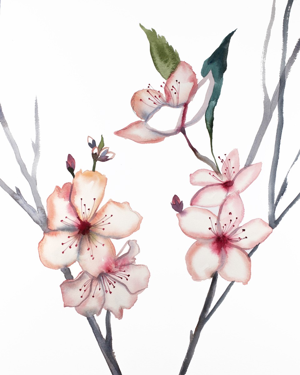 Elizabeth Becker, Cherry Blossom No. 21 Elizabeth Becker, Cherry Blossom No. 21