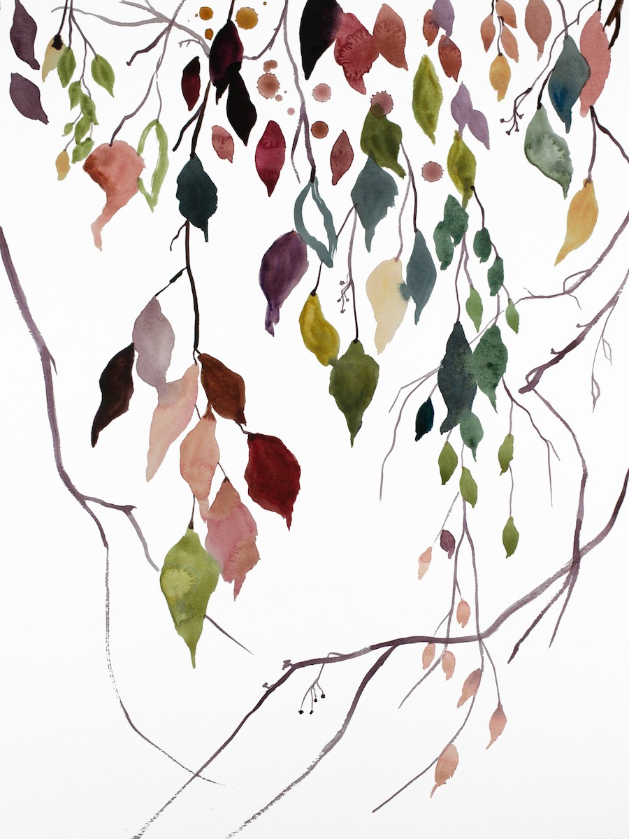 Elizabeth Becker, Branch study no. 24 Elizabeth Becker, Branch study no. 24